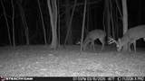 00 County Road 3102 - Photo 76