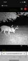 00 County Road 3102 - Photo 81