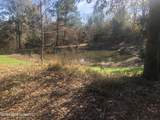 53 Cliffs Plantation Road - Photo 17