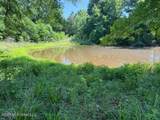 53 Cliffs Plantation Road - Photo 2