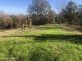 53 Cliffs Plantation Road - Photo 21