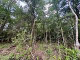 27225 Bull Creek Drive - Photo 20