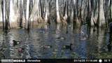 00 Quofaloma Road - Photo 1