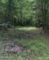 5135 Hwy 51 - Photo 1