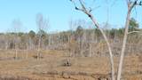 706 Graysport Crossing Road - Photo 10