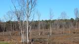 706 Graysport Crossing Road - Photo 11