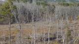 706 Graysport Crossing Road - Photo 14
