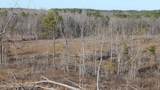 706 Graysport Crossing Road - Photo 18