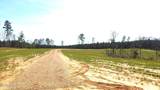 706 Graysport Crossing Road - Photo 9