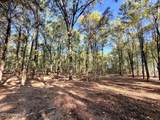  Stout Meadows Lane - Photo 10