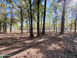  Stout Meadows Lane - Photo 9