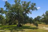  Engman Avenue - Photo 5