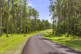  Springwood Trail - Photo 13