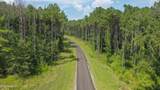  Springwood Trail - Photo 16