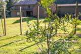 3981 Pleasant Hill Road - Photo 30