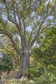 1622 Henderson Avenue - Photo 56