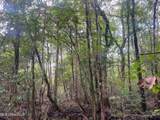  Rayford Shumock Rd - Photo 23
