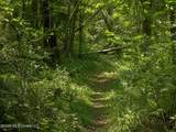  Belle Gardner Road - Photo 2