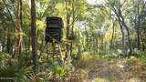 1912 Poplar Springs Road - Photo 44