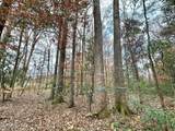 0 Highway 469 - Photo 14