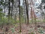 0 Highway 469 - Photo 16