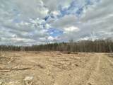 0 Highway 469 - Photo 19