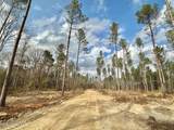 0 Highway 469 - Photo 24