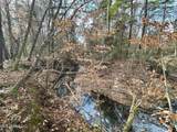0 Highway 469 - Photo 37