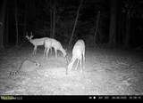 0 Highway 469 - Photo 5