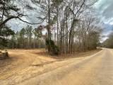0 Highway 469 - Photo 6