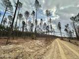 0 Highway 469 - Photo 8