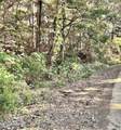 0 Snow Lake Drive - Photo 5