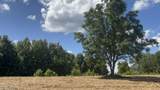 001 Farr Road - Photo 57