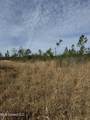 51 L Jack Stewart Road - Photo 5
