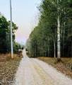 0 Darron Hodge Lane - Photo 1