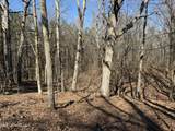  Mcmillan Drive - Photo 6