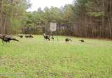 0001 County Road 204 - Photo 7