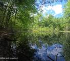  Christian Hts Road - Photo 22