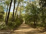 9227 River Road - Photo 12