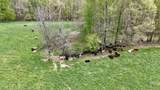 9227 River Road - Photo 86