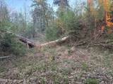  Newman Road - Photo 15