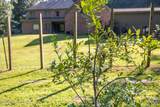 3981 Pleasant Hill Road - Photo 38