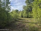 1311 Jackson Street - Photo 15