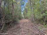 1311 Jackson Street - Photo 23