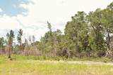 3.78ac Cottonwood Drive - Photo 12