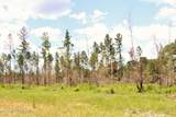3.78ac Cottonwood Drive - Photo 5