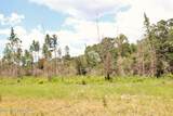 3.78ac Cottonwood Drive - Photo 6