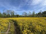  Sparta Road - Photo 103