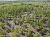  Sparta Road - Photo 111