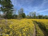  Sparta Road - Photo 29